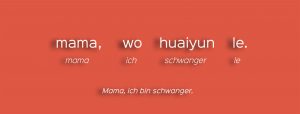 chinesischer Satz - mamawohuaiyunle
