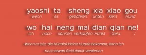 chinesisch lernen - yaoshitashengxiaogou